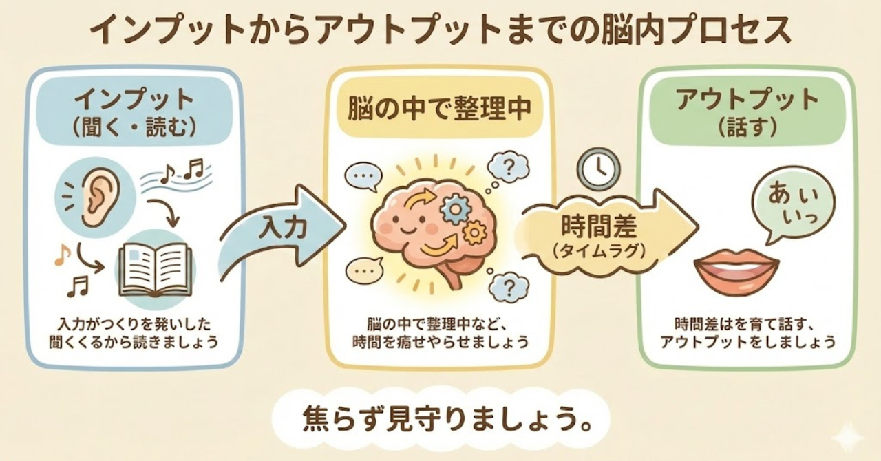 英語のインプットとアウトプットに時間差が生じる脳内プロセスの図解