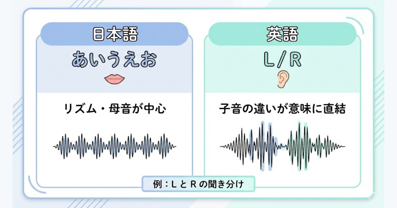 日本語は母音中心、英語は子音の違いが意味を変えるという比較図