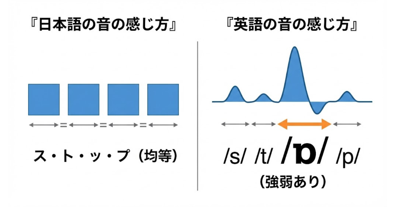 日本語の音のクセが英語発音に影響する様子を示した図