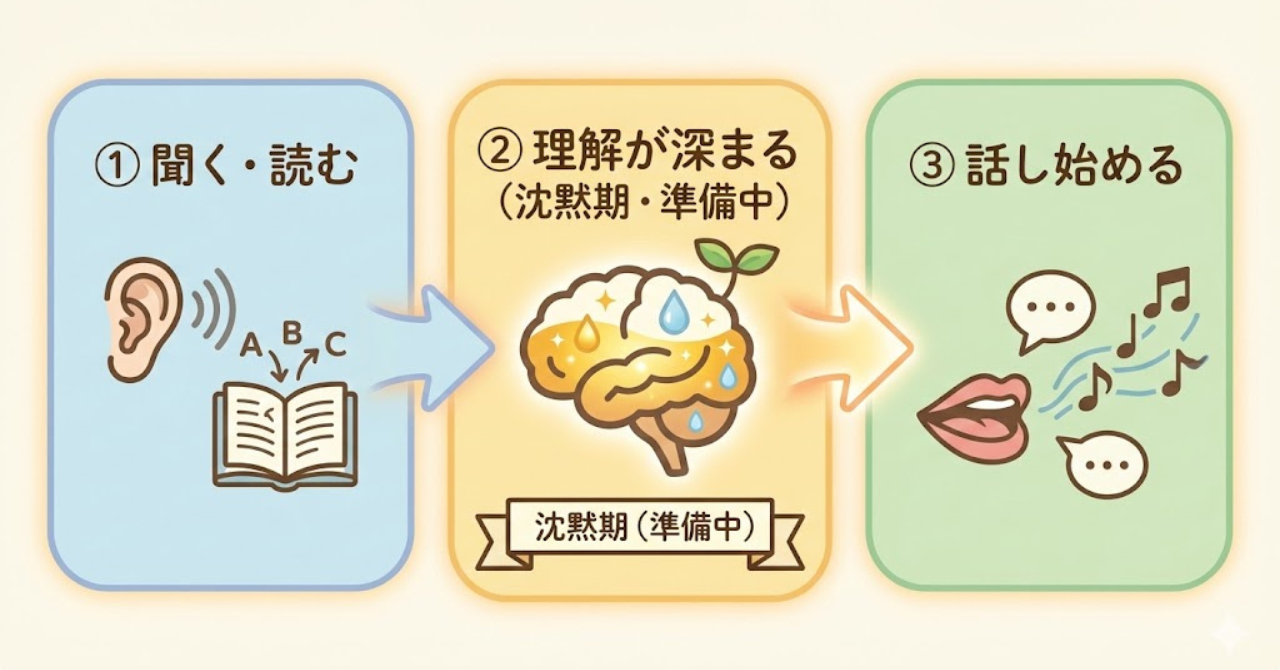 英語学習における沈黙期が成長の準備期間であることを示す図