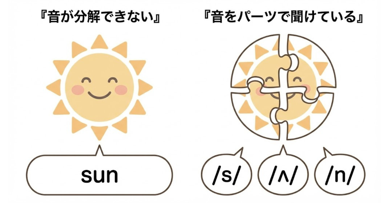 英単語を音のパーツに分けて認識できるかどうかを示す図