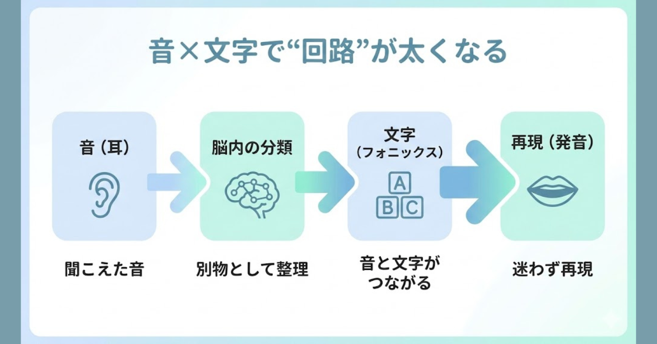 音と文字がつながると聞き取りと発音が安定するという回路図